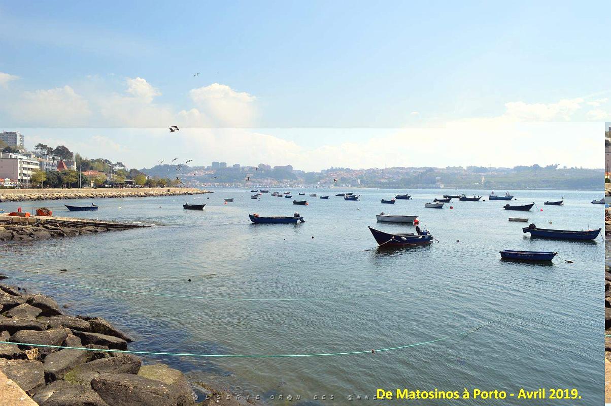 0804 - De Matosinhos a Porto.JPG